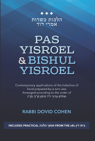 Book name Pas Yisroel and Bishul Yisroel