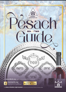 Books - Pesach Guide
