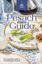 Books - Pesach Guide
